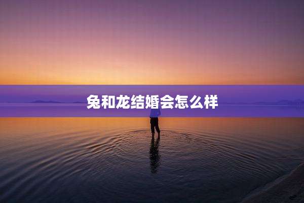 兔和龙结婚会怎么样