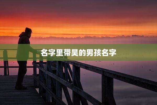 名字里带昊的男孩名字