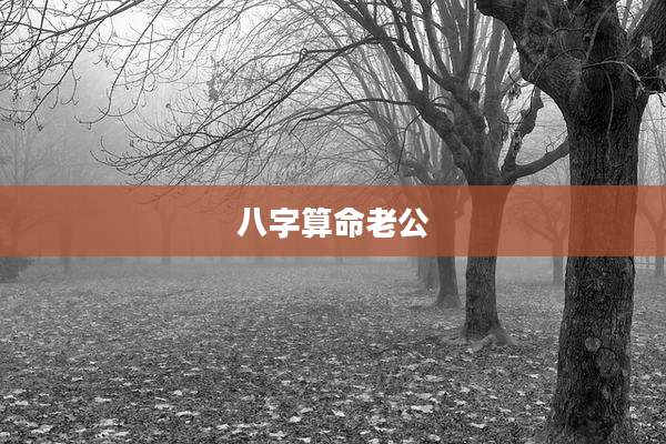 八字算命老公