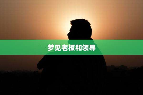 梦见老板和领导