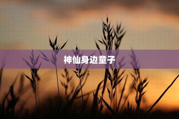 神仙身边童子