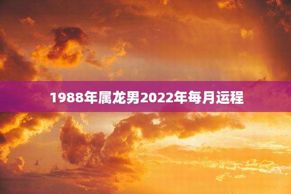 1988年属龙男2022年每月运程