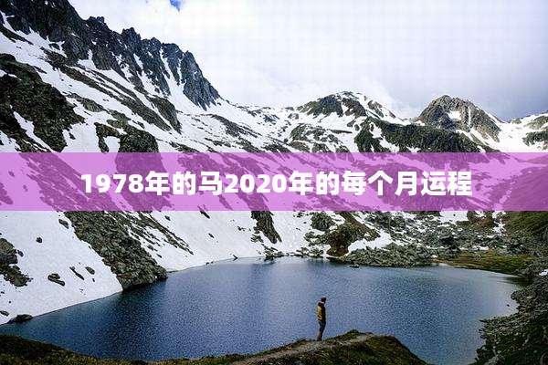 1978年的马2020年的每个月运程