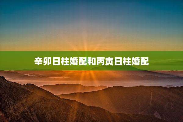 辛卯日柱婚配和丙寅日柱婚配