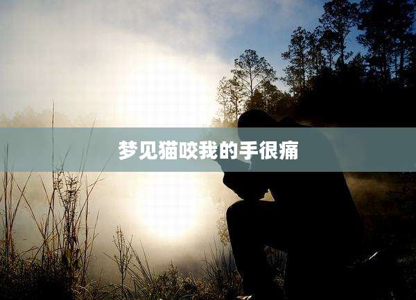 梦见猫咬我的手很痛