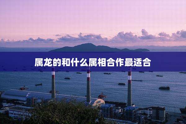 属龙的和什么属相合作最适合