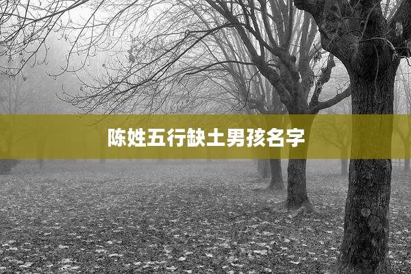 陈姓五行缺土男孩名字