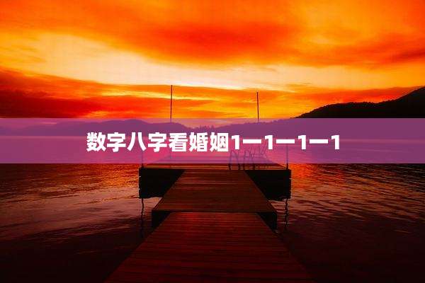 数字八字看婚姻1一1一1一1