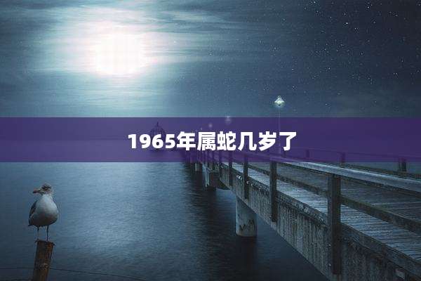 1965年属蛇几岁了