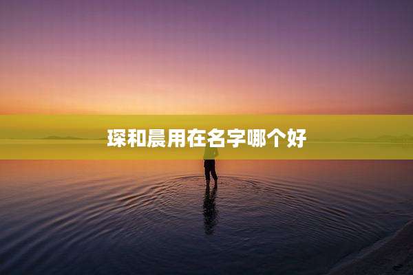 琛和晨用在名字哪个好
