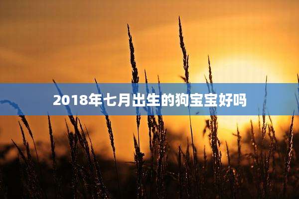 2018年七月出生的狗宝宝好吗
