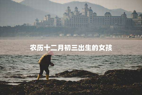 农历十二月初三出生的女孩
