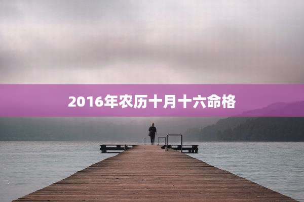 2016年农历十月十六命格