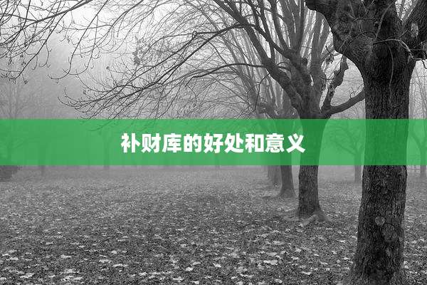 补财库的好处和意义