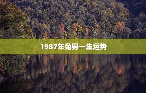 1987年兔男一生运势