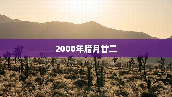2000年腊月廿二