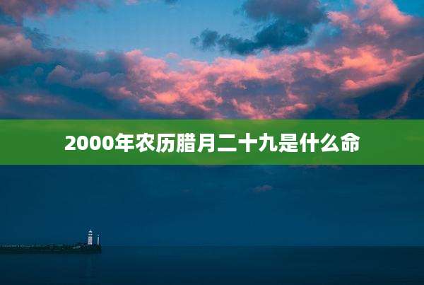 2000年农历腊月二十九是什么命