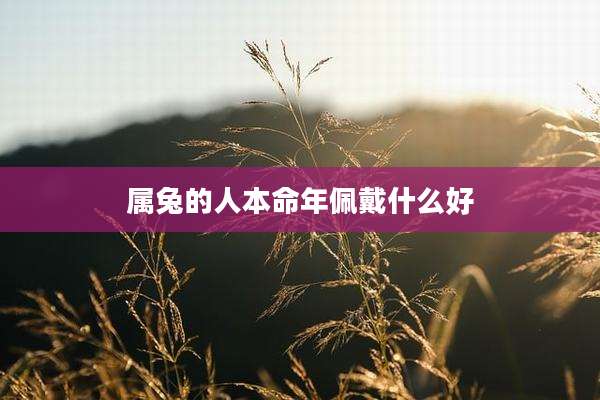 属兔的人本命年佩戴什么好