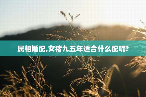 属相婚配,女猪九五年适合什么配呢?