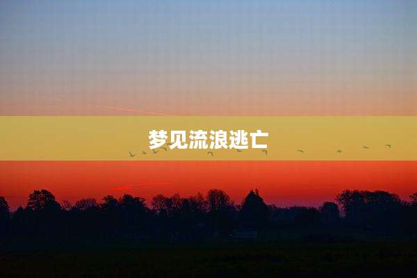 梦见流浪逃亡