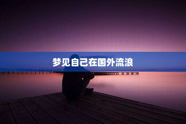 梦见自己在国外流浪