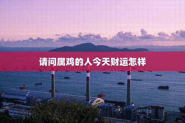 请问属鸡的人今天财运怎样