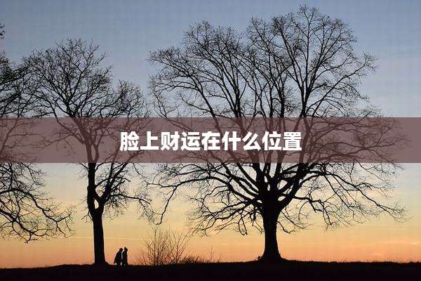 脸上财运在什么位置