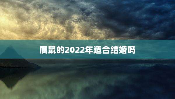 属鼠的2022年适合结婚吗