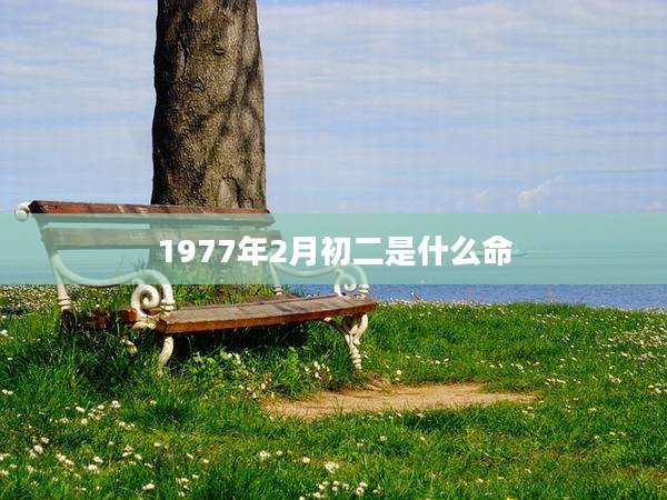 1977年2月初二是什么命