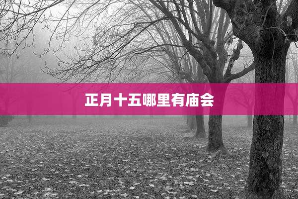 正月十五哪里有庙会