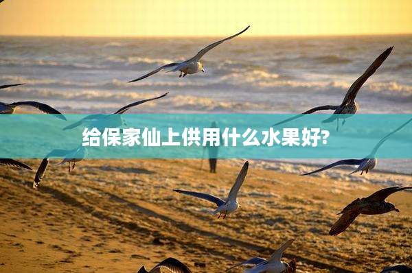 给保家仙上供用什么水果好?