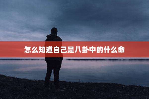 怎么知道自己是八卦中的什么命