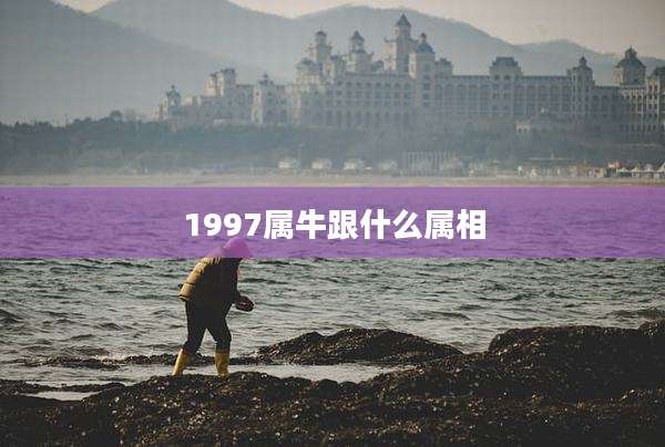 1997属牛跟什么属相