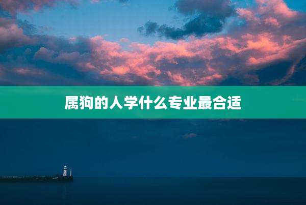 属狗的人学什么专业最合适