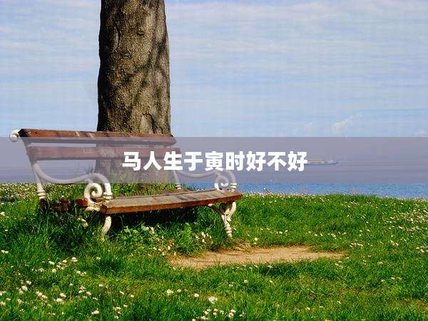 马人生于寅时好不好