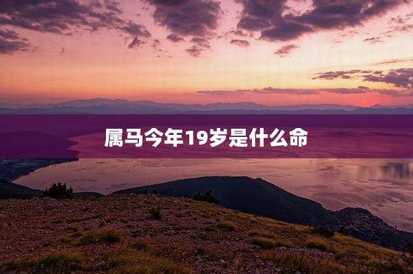 属马今年19岁是什么命