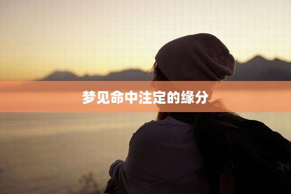 梦见命中注定的缘分