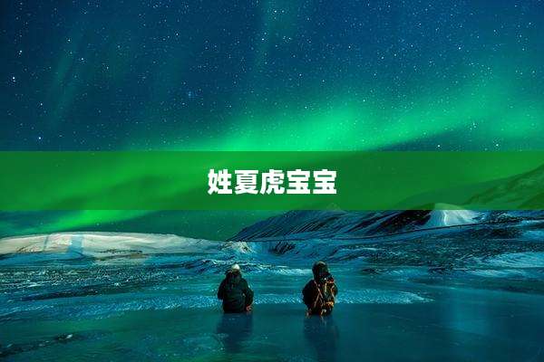 姓夏虎宝宝