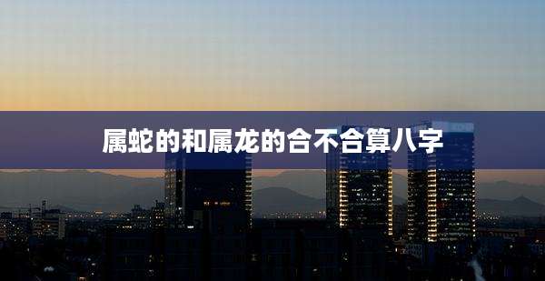 属蛇的和属龙的合不合算八字