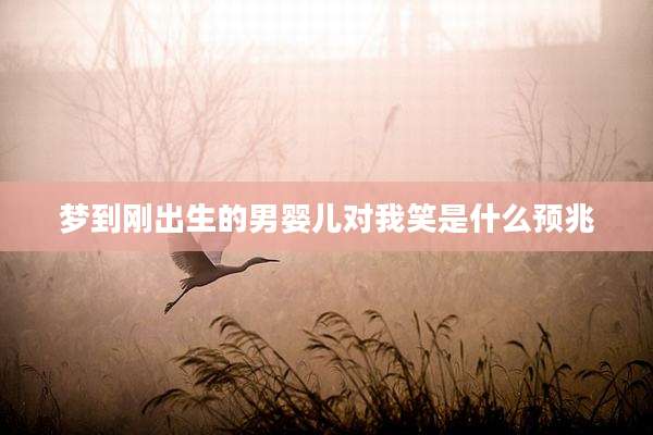 梦到刚出生的男婴儿对我笑是什么预兆