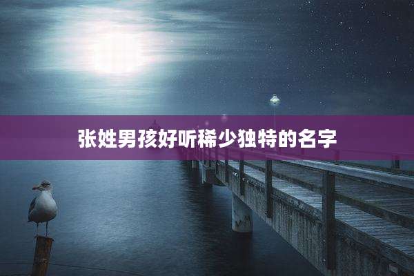 张姓男孩好听稀少独特的名字