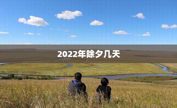 2022年除夕几天