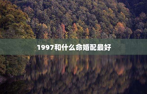 1997和什么命婚配最好