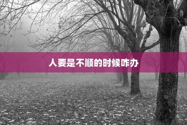 人要是不顺的时候咋办
