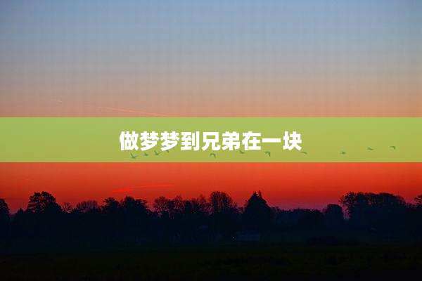 做梦梦到兄弟在一块