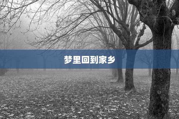 梦里回到家乡