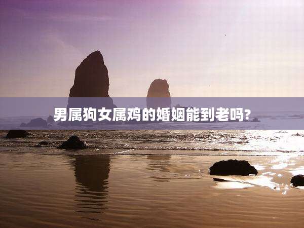 男属狗女属鸡的婚姻能到老吗?