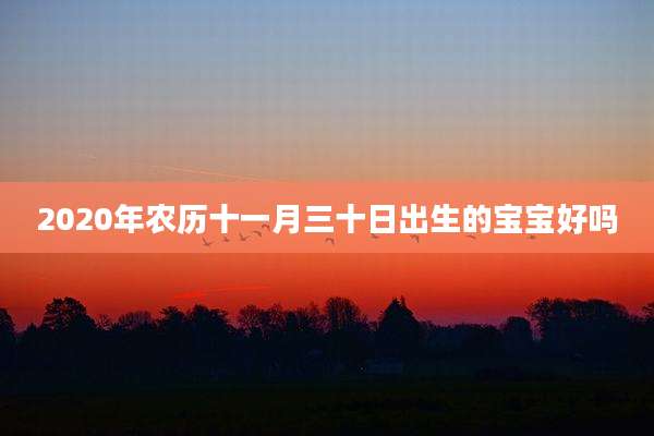 2020年农历十一月三十日出生的宝宝好吗