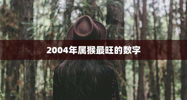 2004年属猴最旺的数字