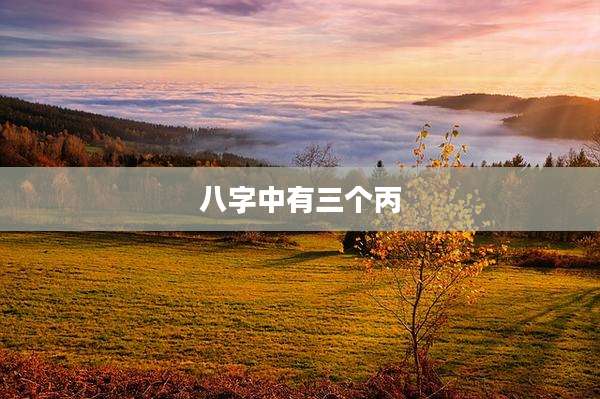八字中有三个丙